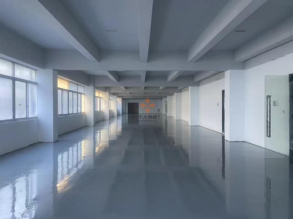 浦東 金洋置業通用廠房園區 900平米 毛坯