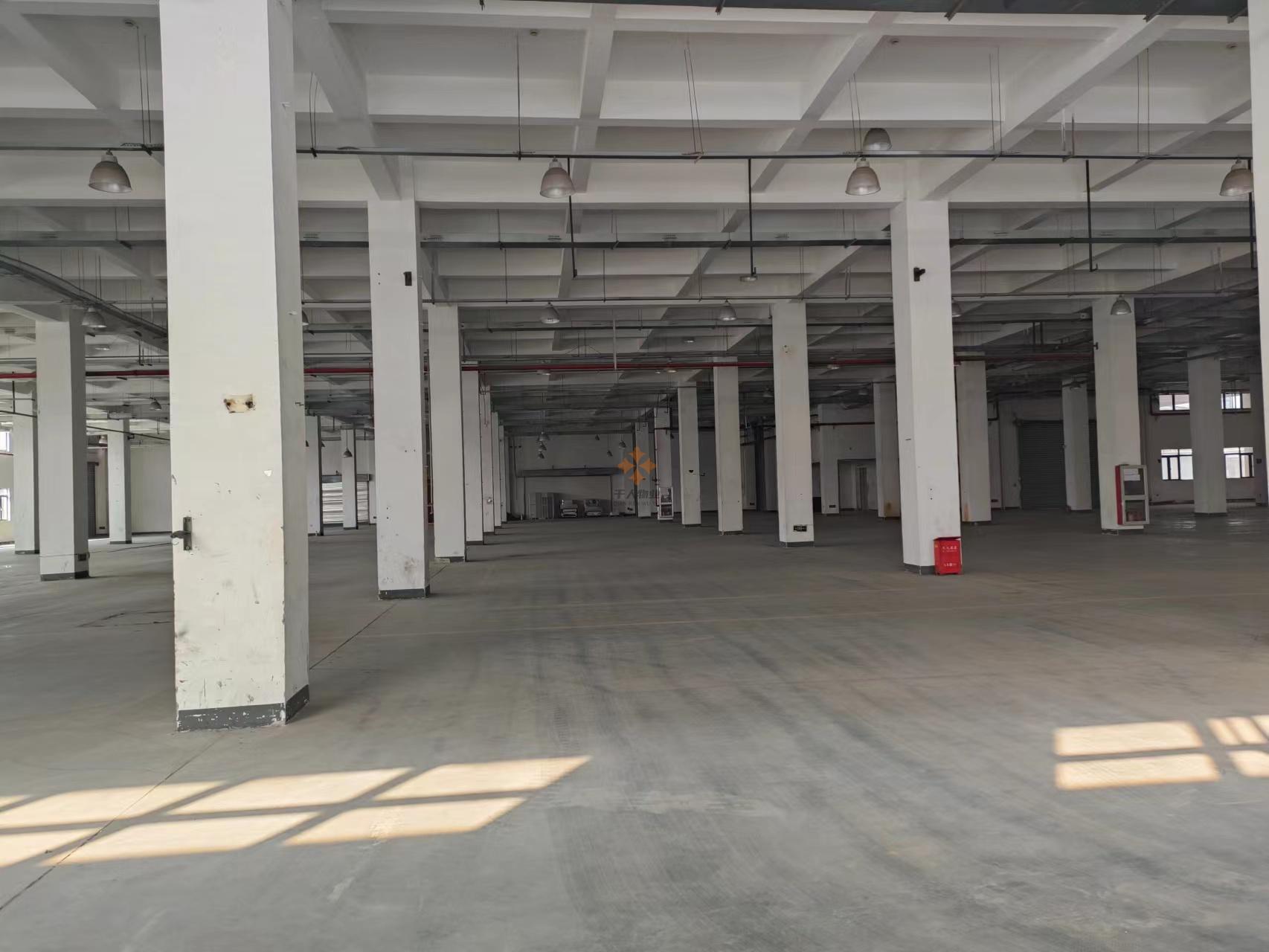 浦東 偉氏789產業園 1000平米 毛坯