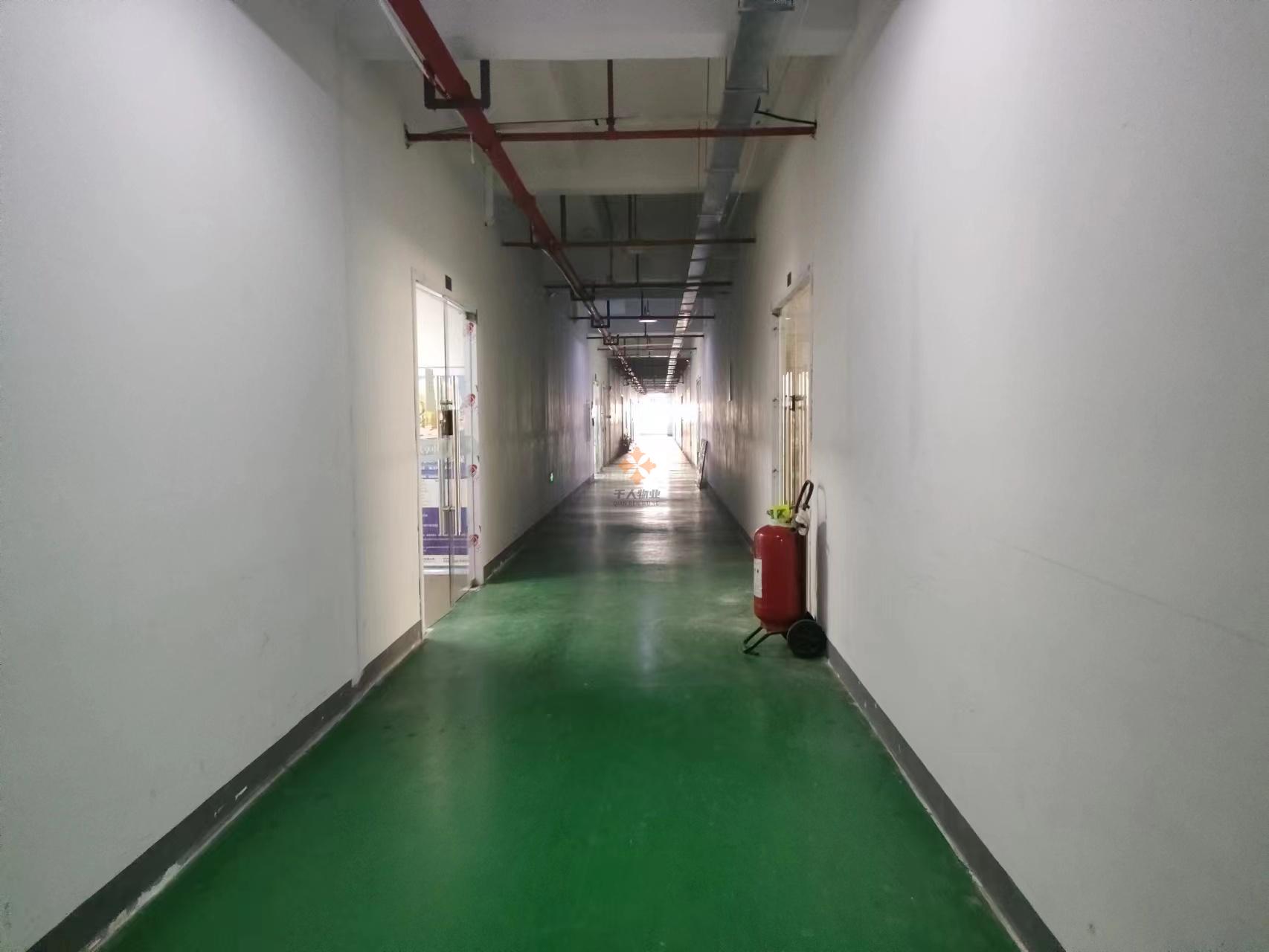 浦東 倉欣產業園 500平米 毛坯