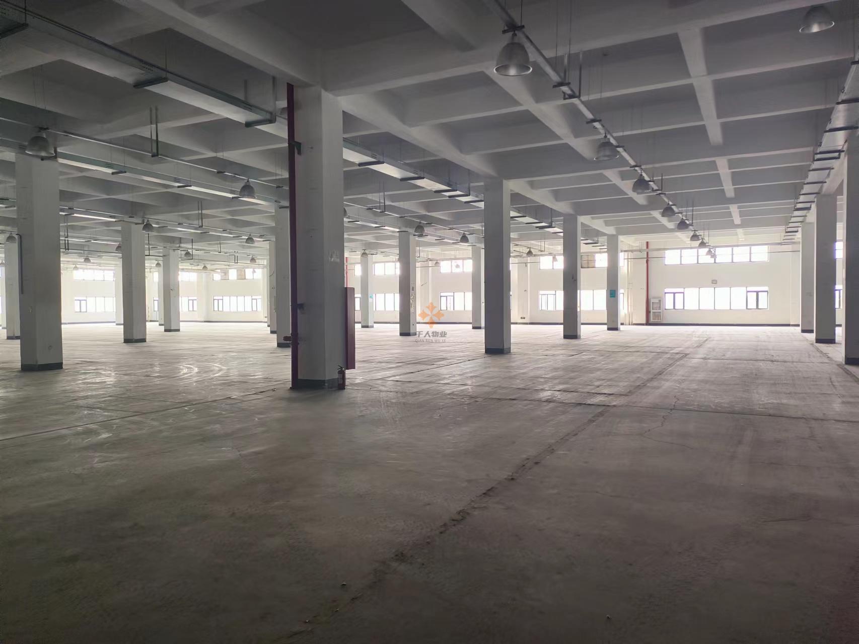 浦東 偉氏789產業園 2000平米 毛坯