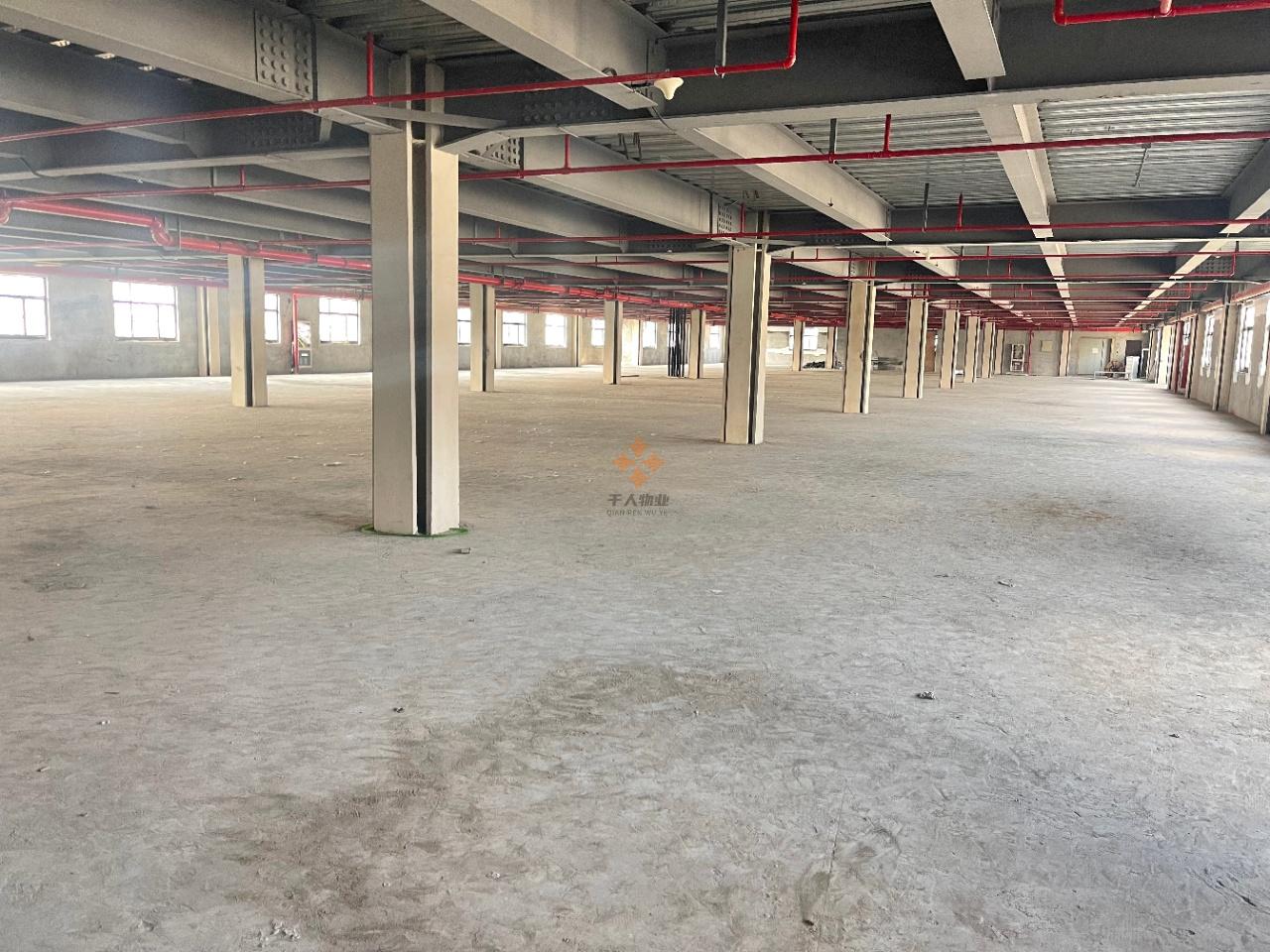  復(fù)旦大學(xué) 國(guó)家大學(xué)科技園創(chuàng)新創(chuàng)業(yè)基地 3000平米 毛坯