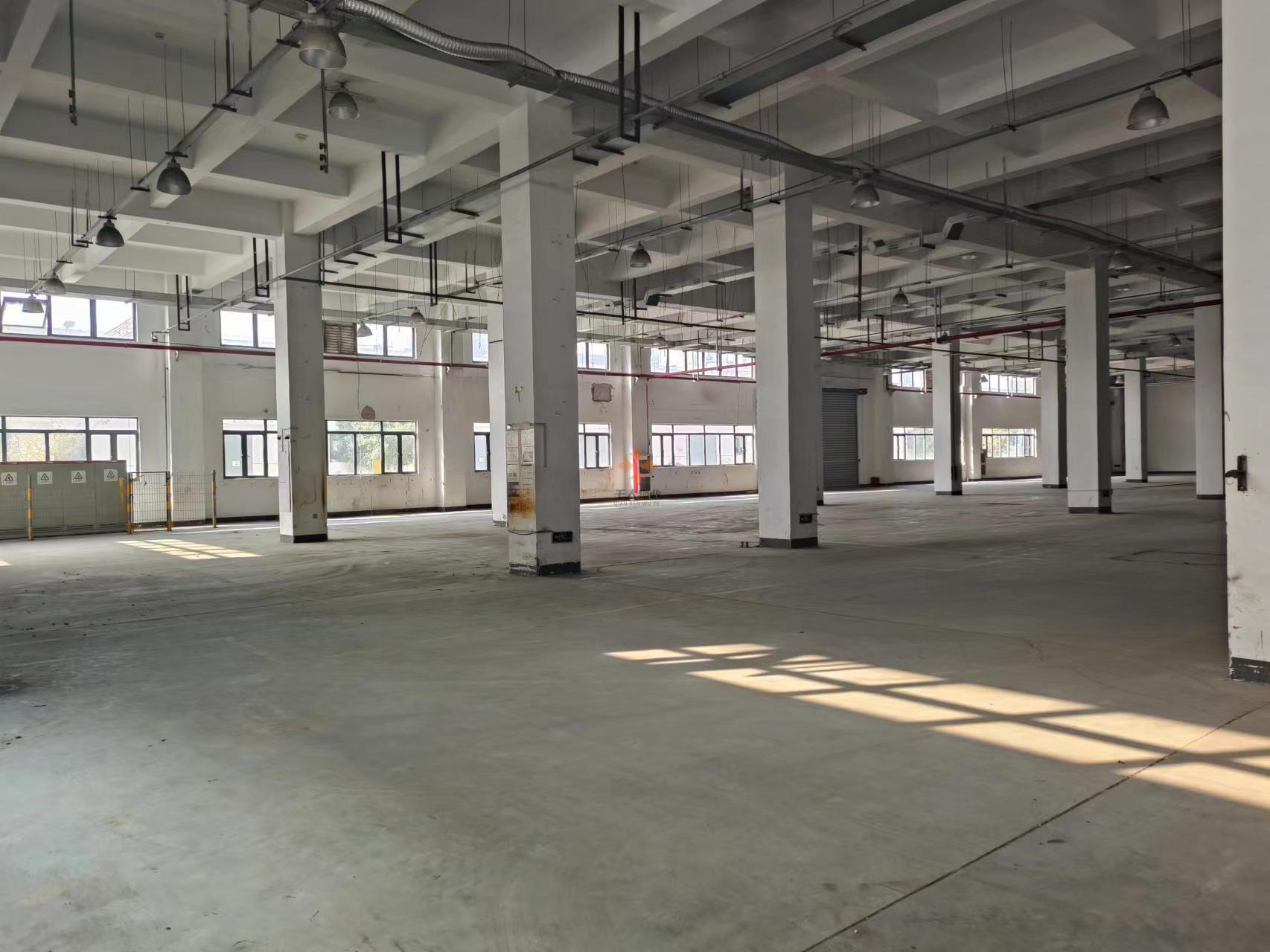 浦東 偉氏789產業園 2000平米 毛坯