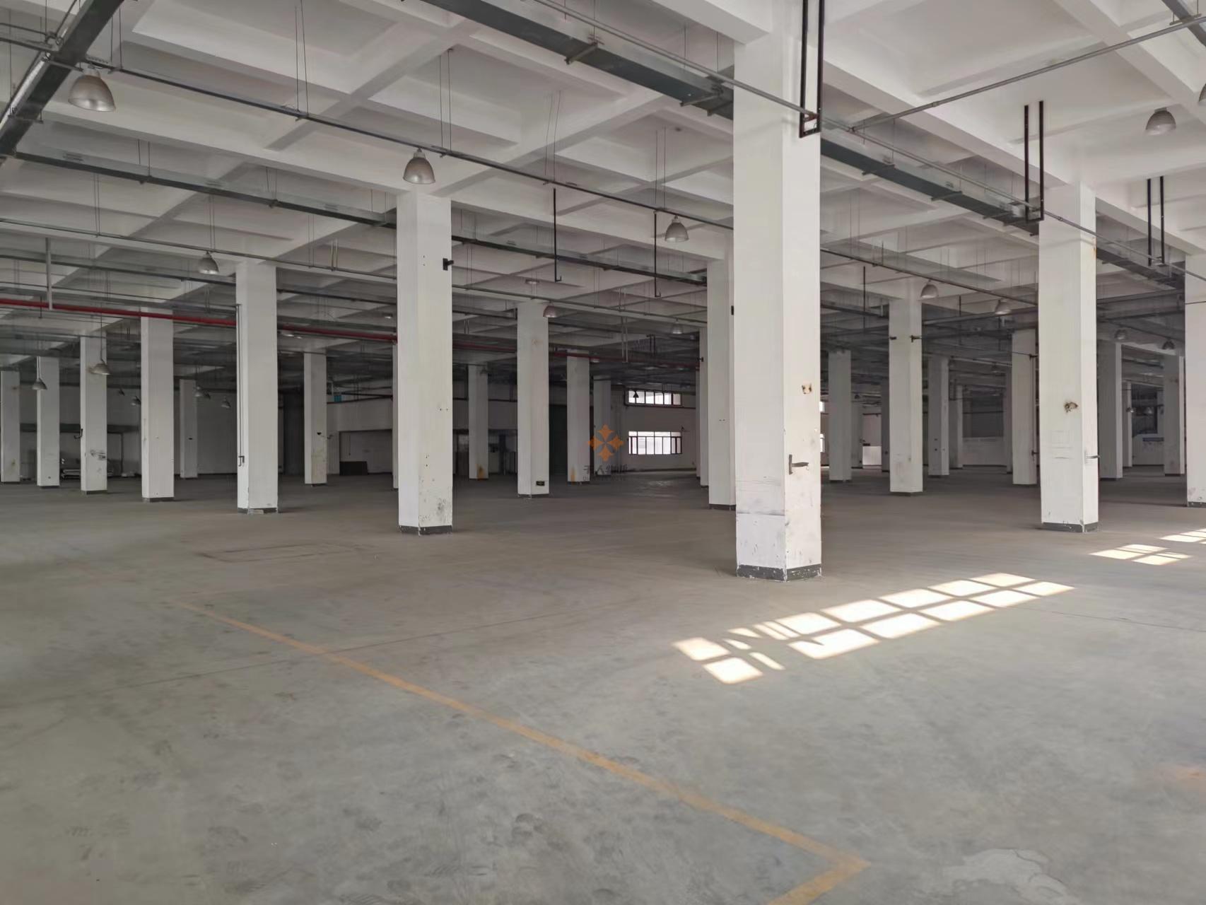 浦東 偉氏789產業園 1000平米 毛坯