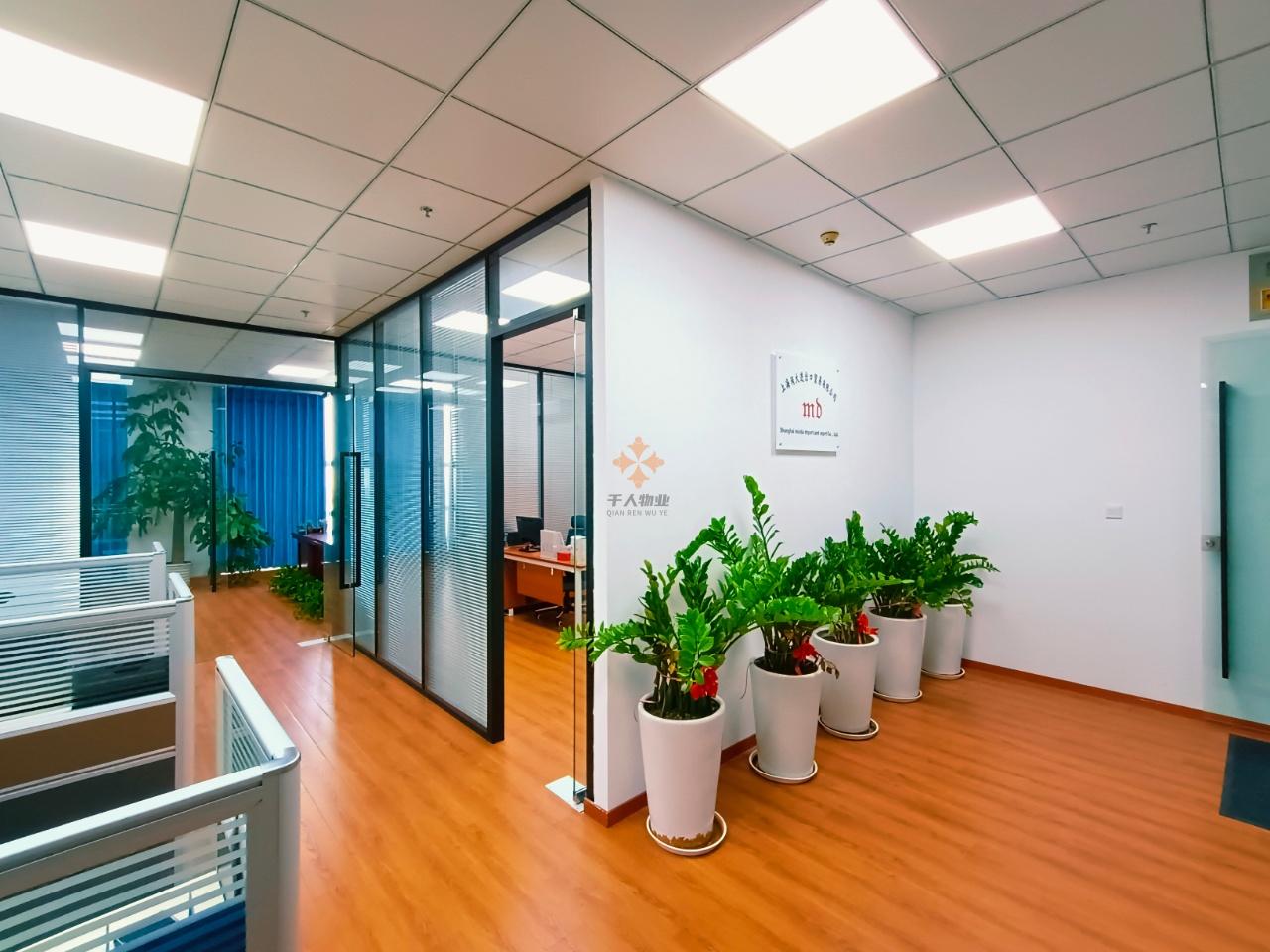 浦東 保周跨境電商直播產業園 500平米 精裝