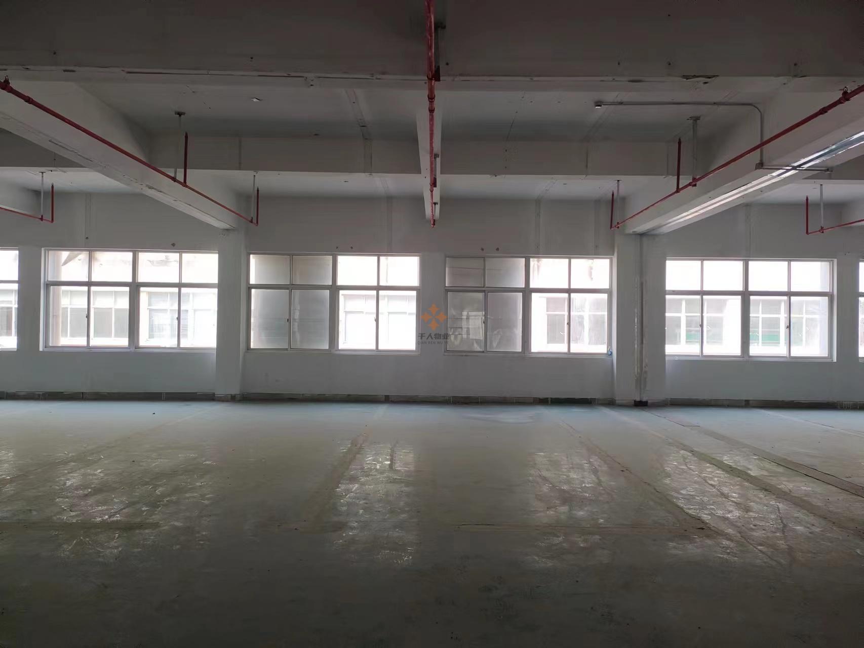 浦東 倉欣產業園 500平米 毛坯