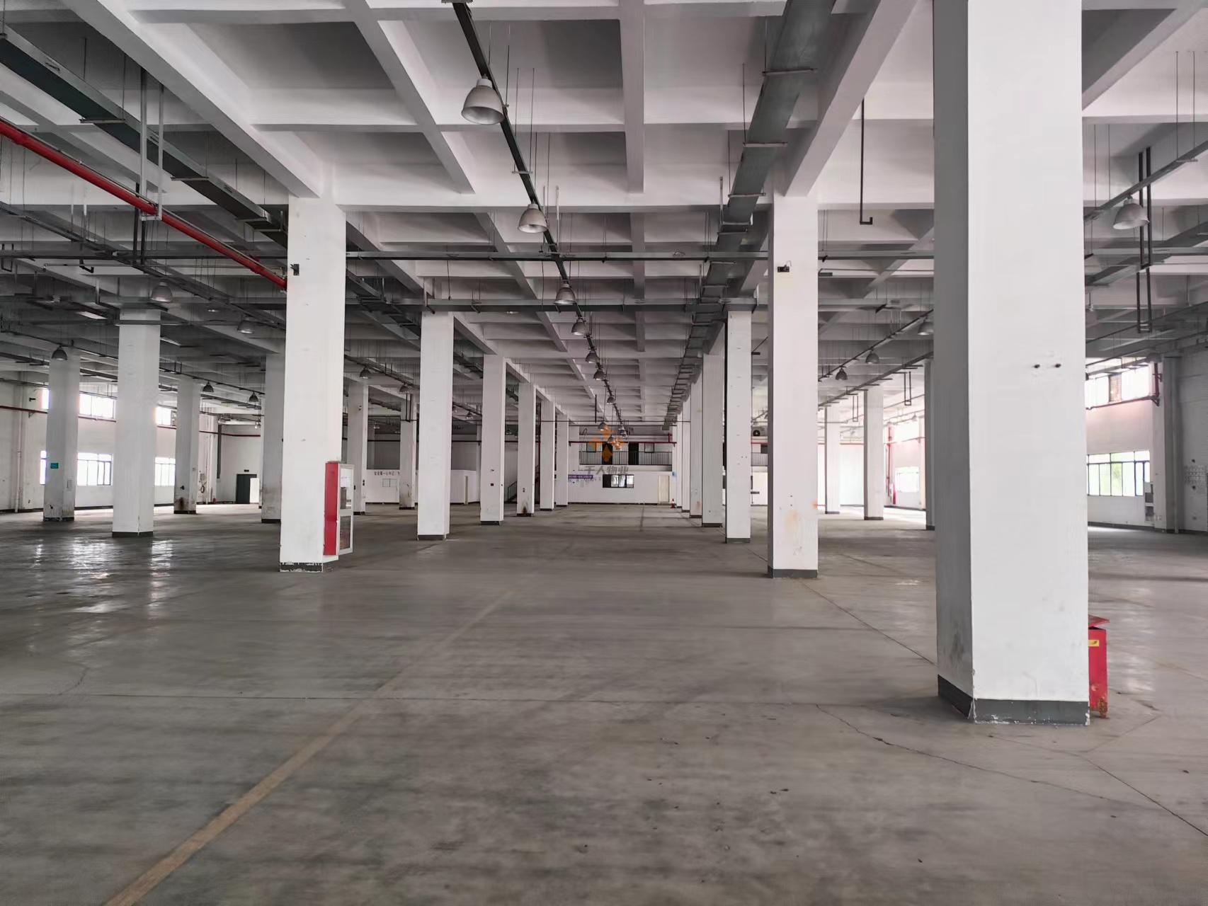 浦東 偉氏789產業園 2000平米 毛坯