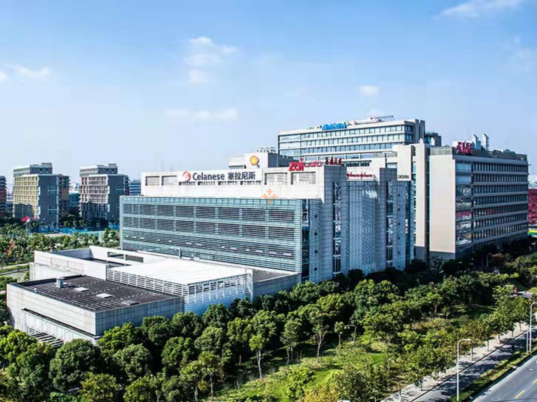 浦東 金創大廈 500平米 簡裝