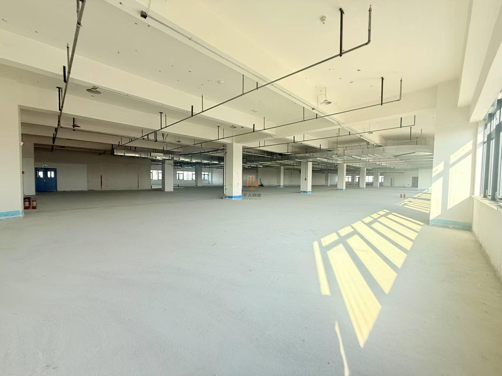 浦東 星創園 1400平米 毛坯