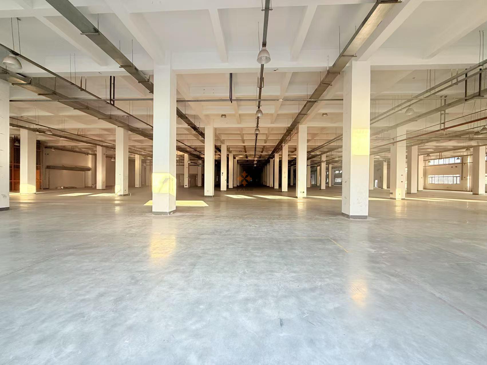 浦東 高乘材化加速產業園 7700平米 簡裝