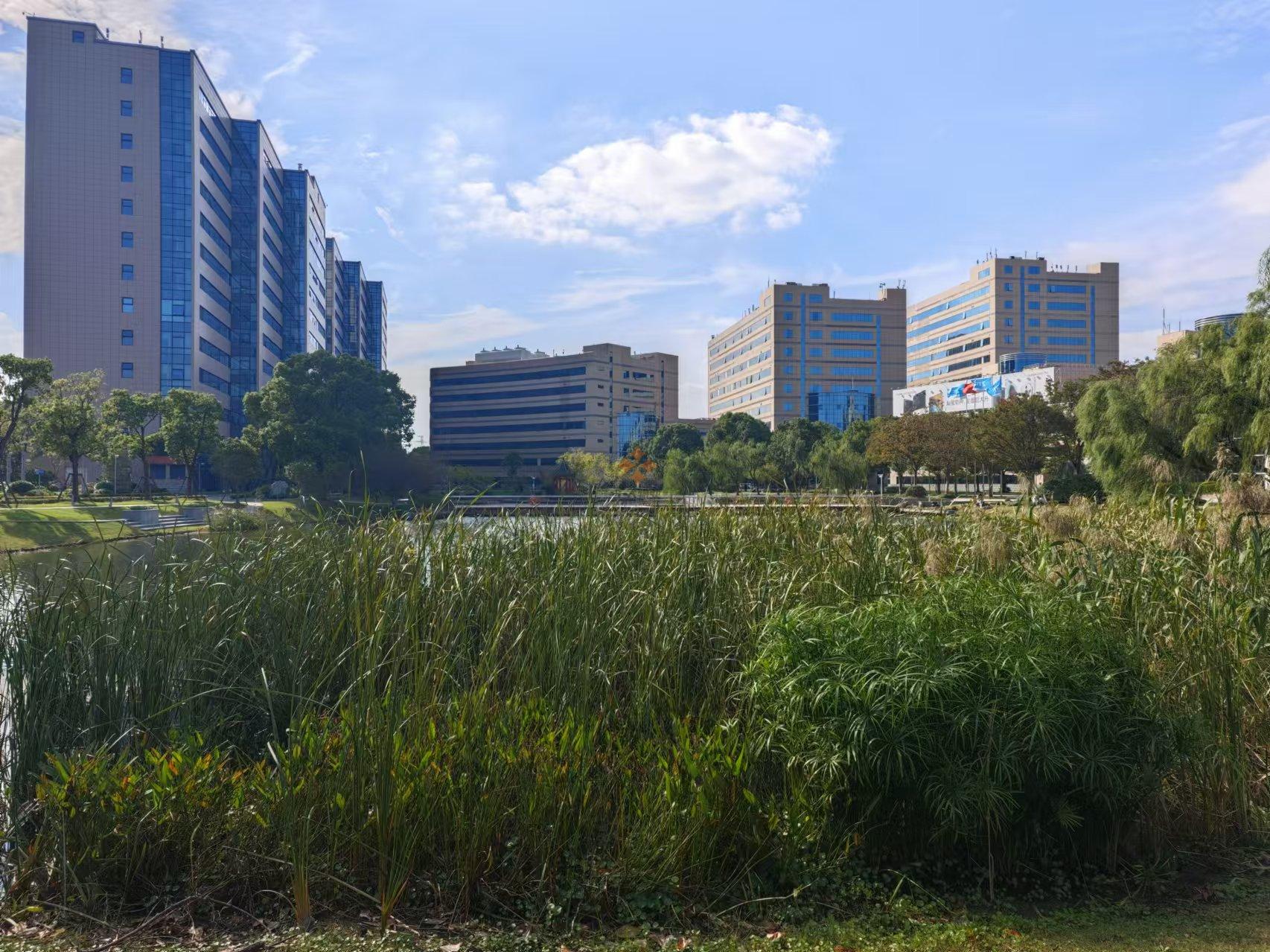 浦東 中興智慧園 2300平米 簡裝