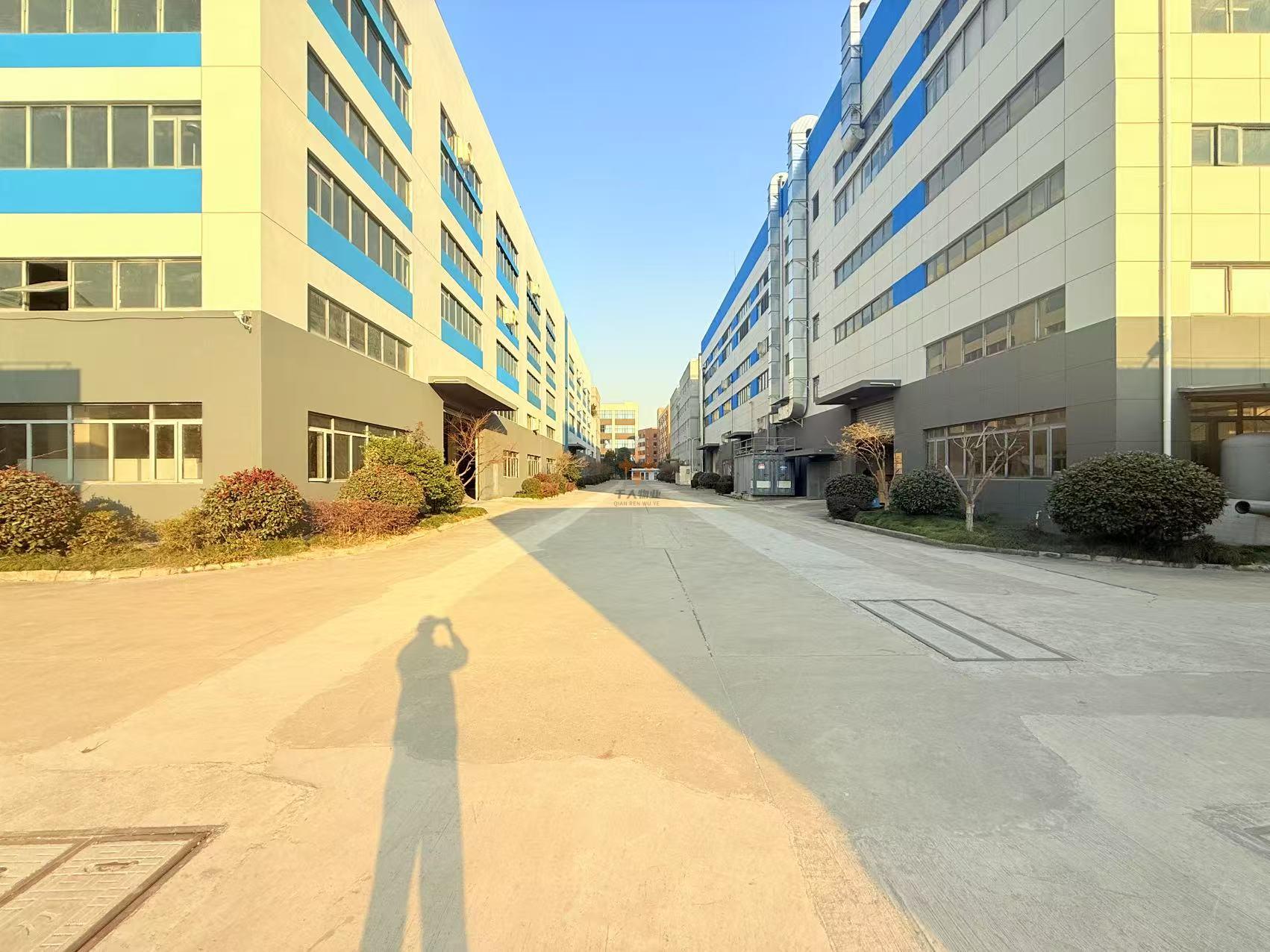 高乘材化加速產業園