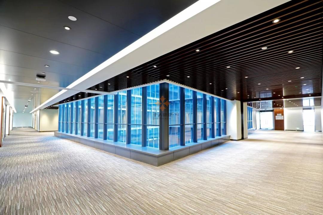 浦東 申迪文化中心 518平米 精裝