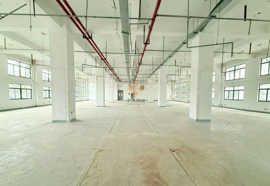 浦東 長利園區 1660平米 毛坯