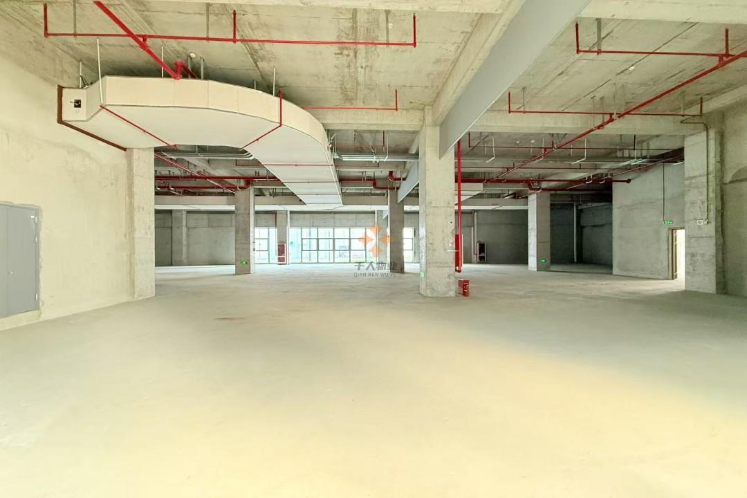 奉賢 數字江海國際產業新城 14560平米 簡裝