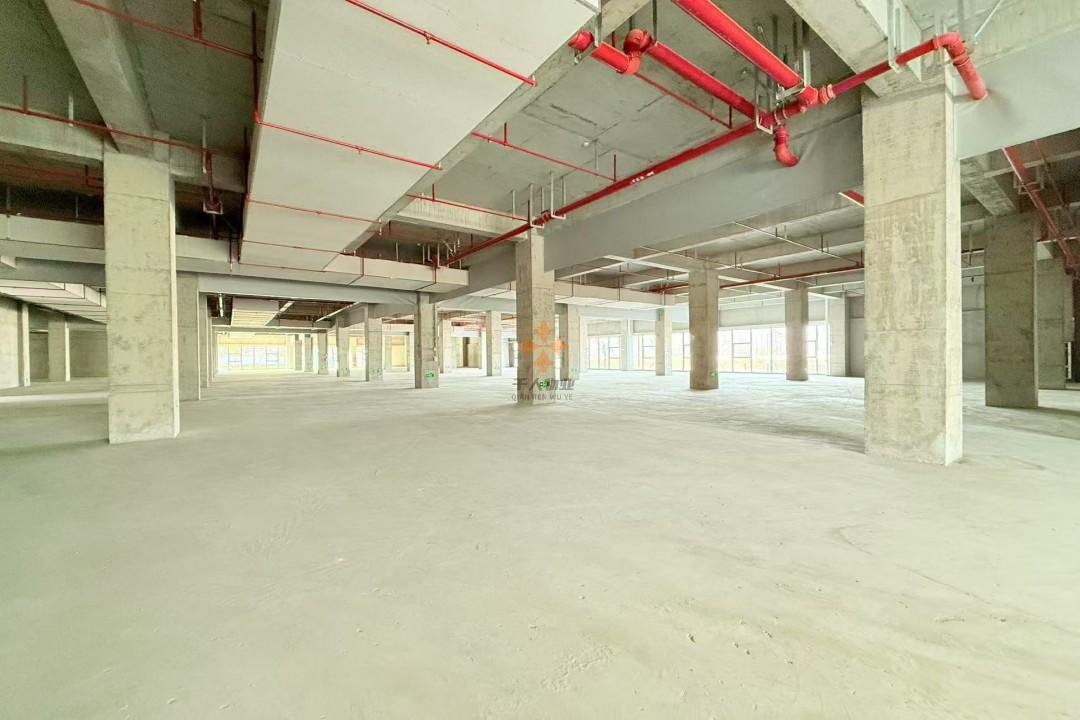 奉賢 數字江海國際產業新城 14560平米 簡裝