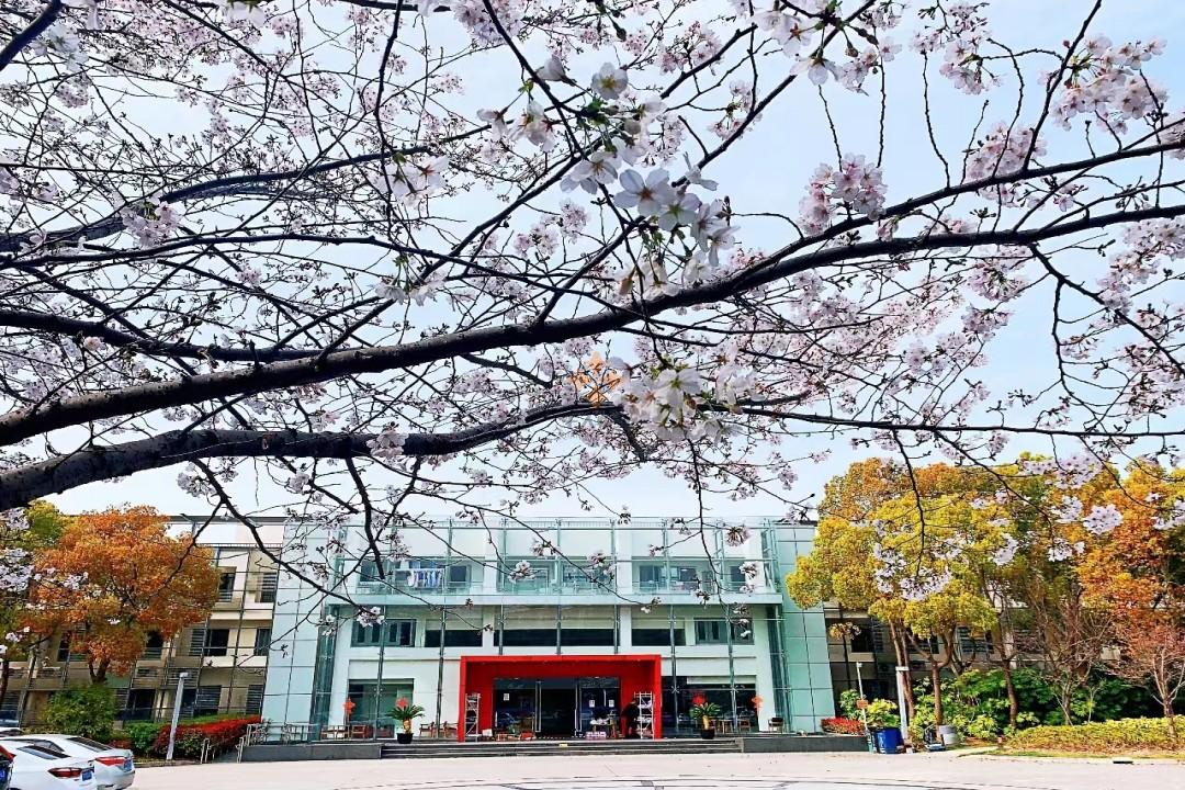 浦東 盛創中心 1578平米 簡裝