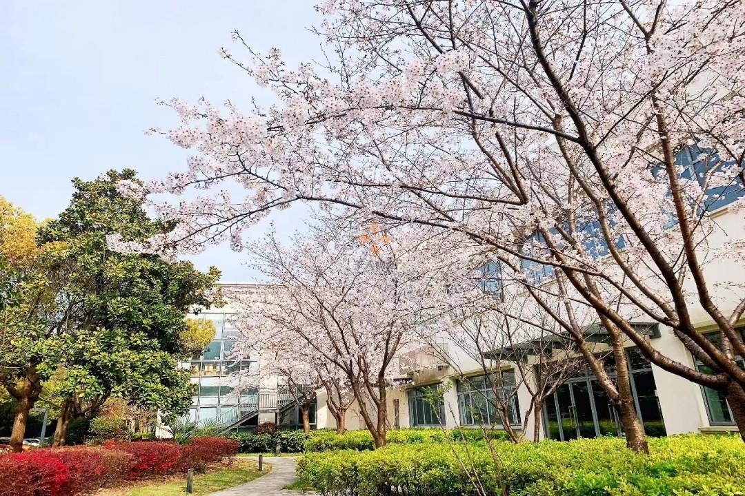 浦東 盛創中心 3150平米 簡裝