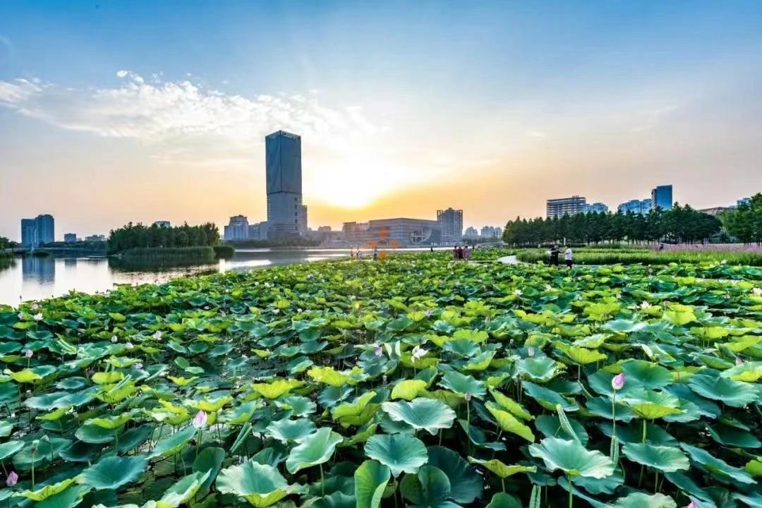 上海保利國(guó)際廣場(chǎng)