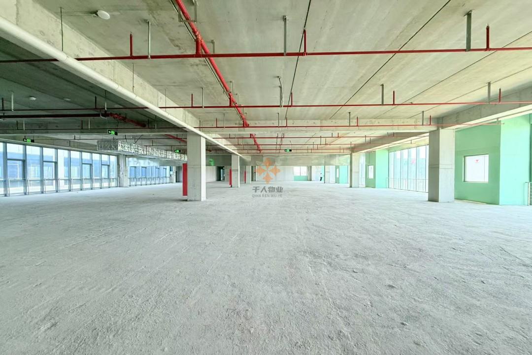 浦東 新展城XinPark新園 2500平米 簡裝