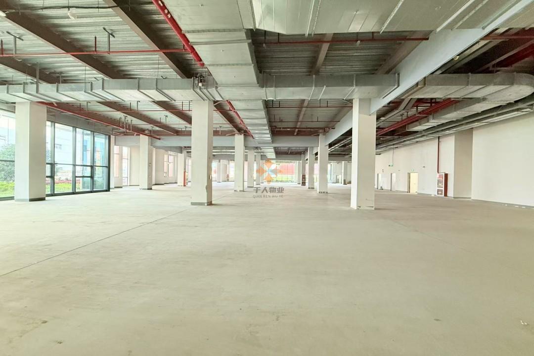 浦東 新展城XinPark新園 7200平米 簡裝