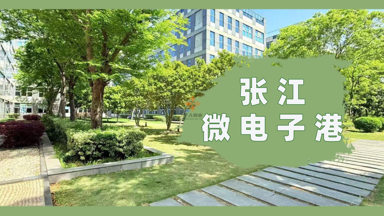 張江微電子港:張江科創核心,賦能高科技企業全周期成長