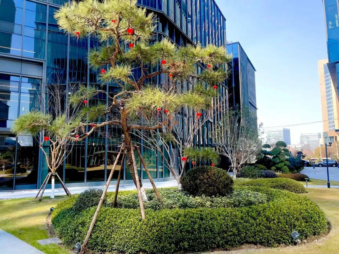 微信圖片_20251124145545_1342_119.jpg 微信圖片_20251124145545_1342_119.jpg